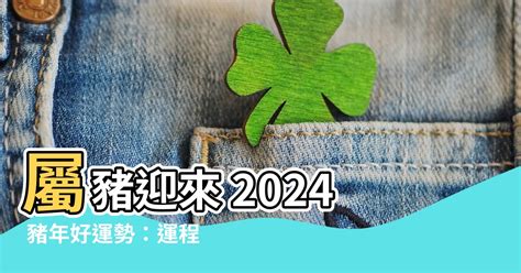 屬豬終身幸運色|2024豬年開運色速查